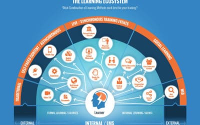 How to design your learning ecosystem: what to consider