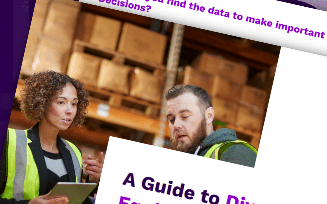 Guide to DEI Analytics eBook