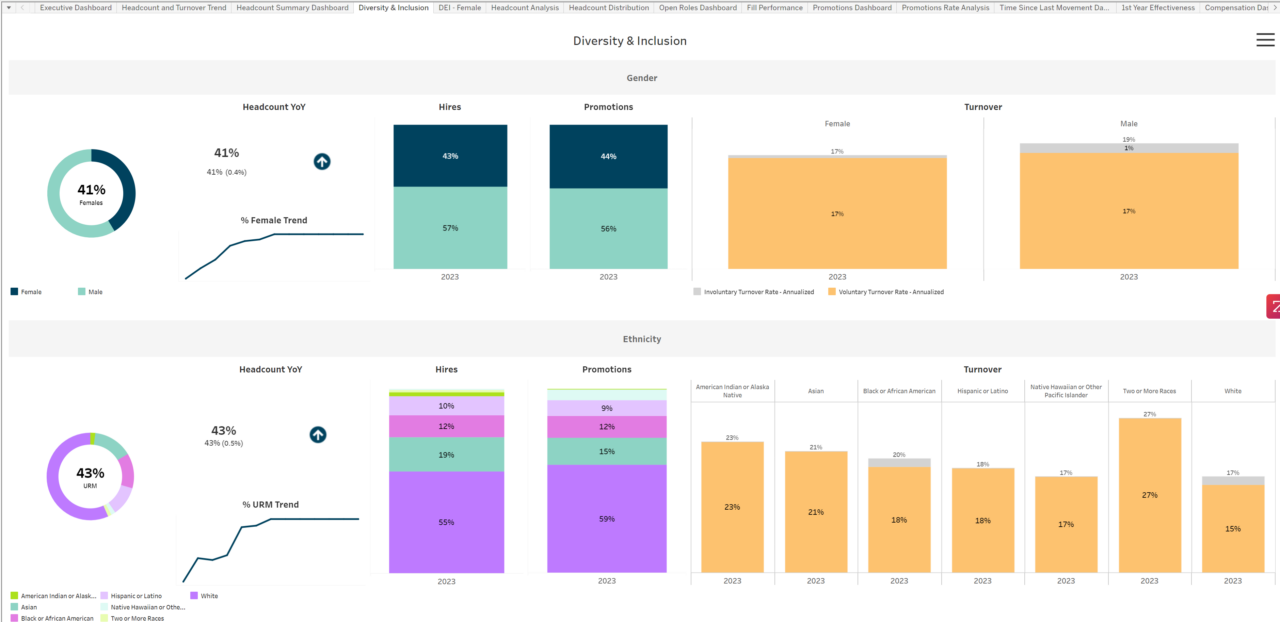 Maximizing DEI Programs with HR Analytics