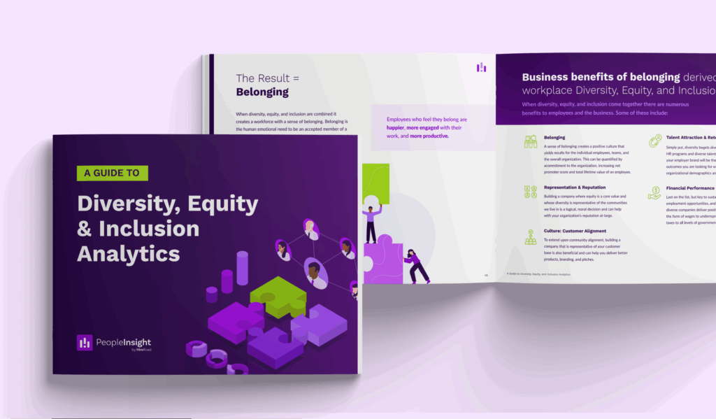 A guide to DEI Analytics Image